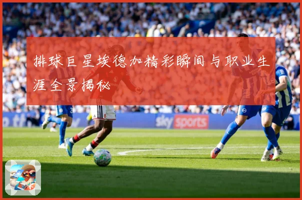 排球巨星埃德加精彩瞬间与职业生涯全景揭秘