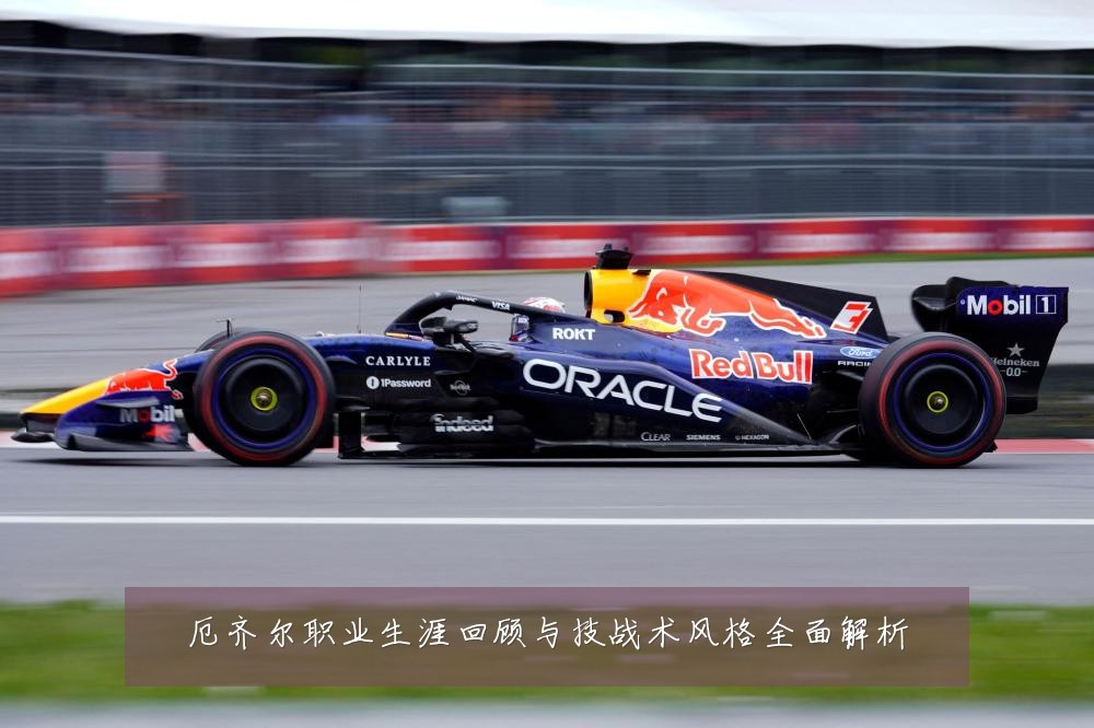 厄齐尔职业生涯回顾与技战术风格全面解析