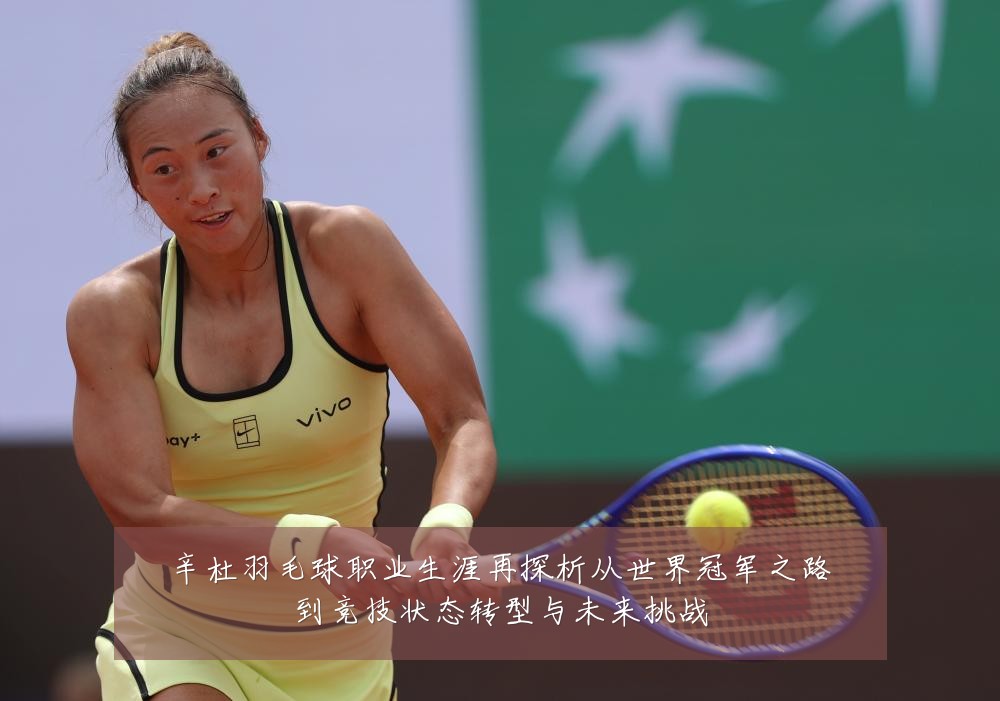 辛杜羽毛球职业生涯再探析从世界冠军之路到竞技状态转型与未来挑战